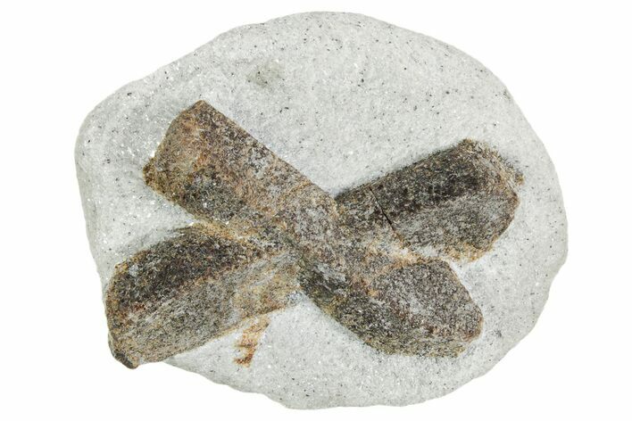 Twinned Staurolite Cross In Glittering Mica-Schist - Russia #356599